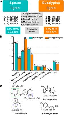 High-Molecular-Weight Fractions of Spruce and Eucalyptus Lignin as a Perspective Nanoparticle-Based Platform for a Therapy Delivery in Liver Cancer